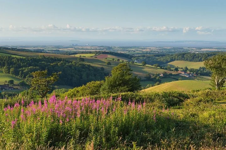 Scenic English countryside landscape with rolling green hills and pink wildflowers