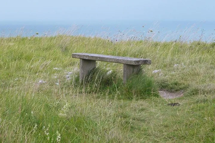 A simple wooden bench sitting in tall coastal grass overlooking the sea